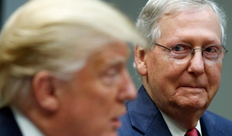 Reports Claim Mitch McConnell Never Wants To Speak To Donald Trump Again After Capitol Incident