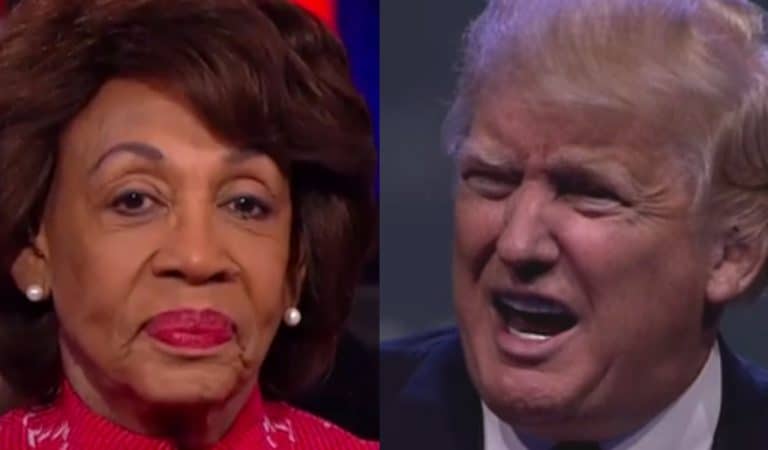 Maxine Waters Gets The Ultimate Revenge On Trump As POTUS’ Bank Cooperates With Her Investigation