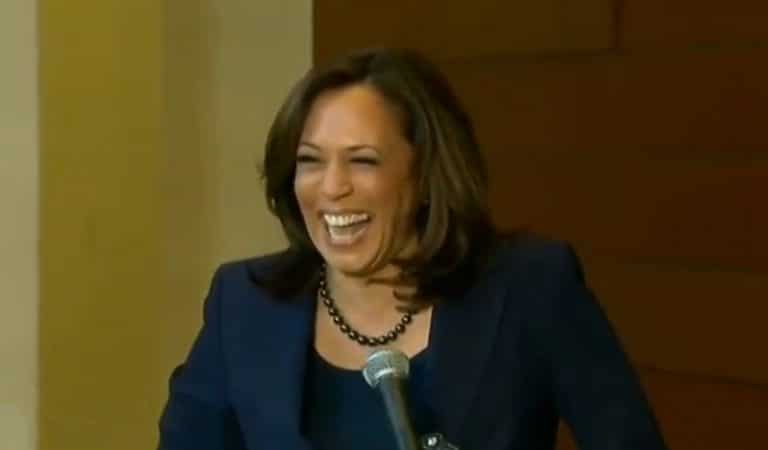 Harris Supporter Drops Brilliant One-Liner About Trump At Event, Leaving VP In Laughter