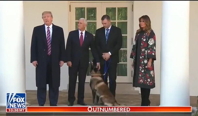 Trump Tells Reporters “If You Open Your Mouths You Will Be Attacked” During Presentation For Hero Army Dog