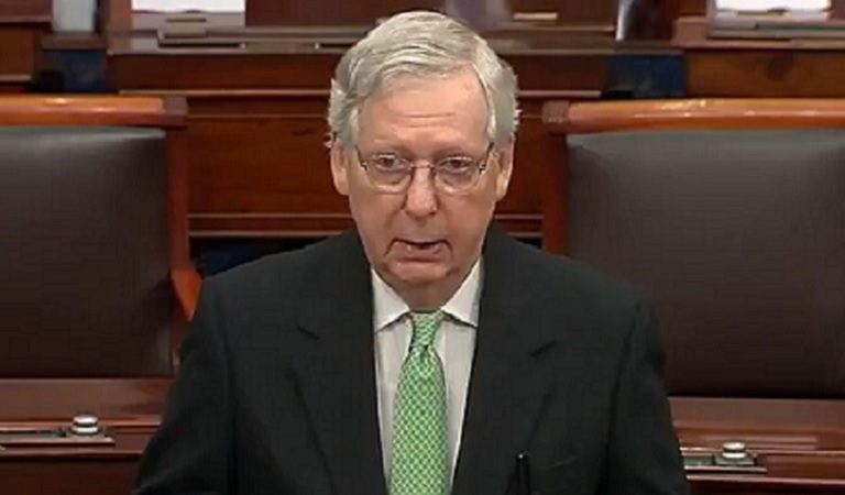 Mitch McConnell Reportedly Refused To Include Additional Food Stamp Aid In New Stimulus Bill