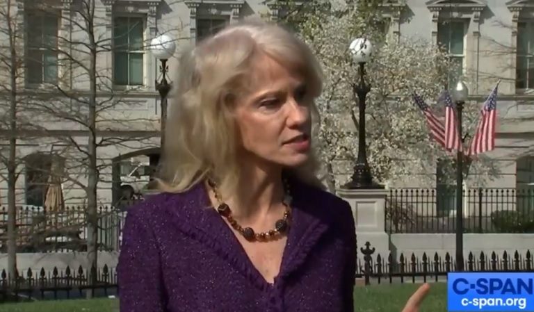 Kellyanne Got Cut Off By Fox Host Over Attack On NYC Mayor: “I’m Gonna Stop You On The Politics”
