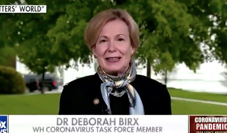 Dr. Birx Lost All Credibility After She Backed Trump’s False Claims On National Television