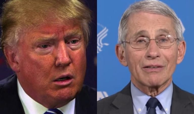Fauci Is Still Most Trusted In Coronavirus Response While Kushner And Trump Are Dead Last