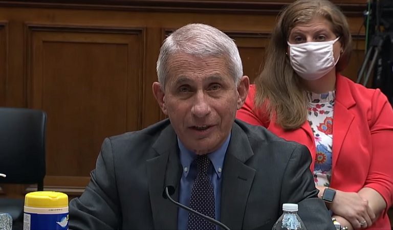 Dr. Fauci Appeared To Call Out Trump’s Lies In Such A Way That POTUS Probably Didn’t Understand He Was Being Called A Liar Dr. Fauci Appeared To Call Out Trump’s Lies In Such A Way That POTUS Probably Didn’t Understand He Was Being Called A Liar