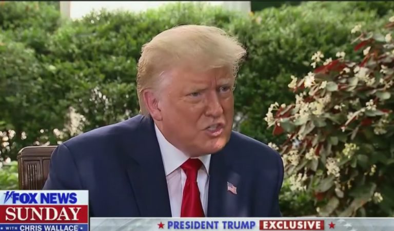 Trump Claims Biden Should Sit For An Interview With Chris Wallace: “He’ll Be On The Ground Crying For Mommy”
