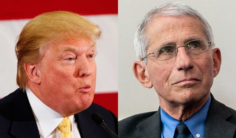 Fauci Says Trump Got One Of His Most Dangerous And Hairbrained Ideas “From Laura Ingraham On Fox News”