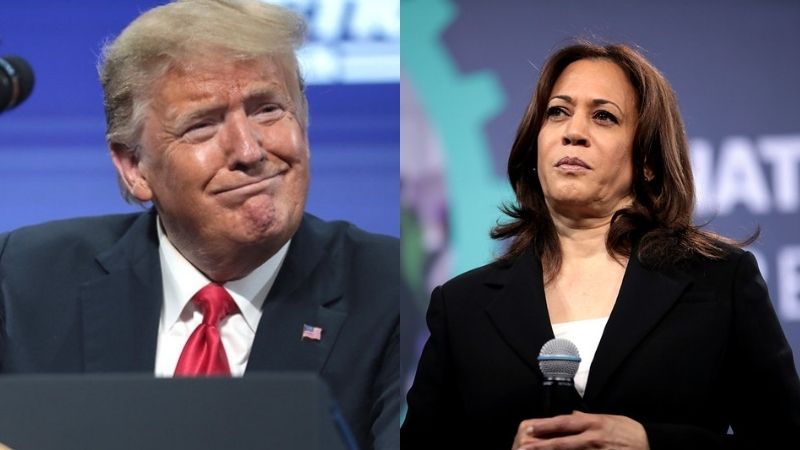 Trump On Harris: 