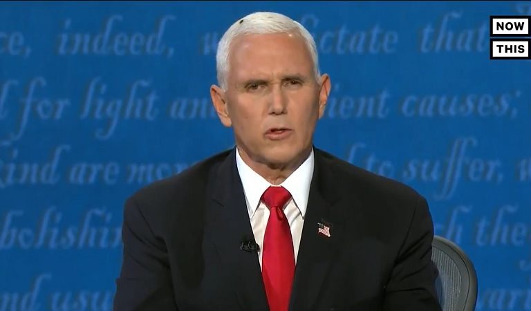 Mike Pence Has A Fly Land On His Head During VP Debate And You Can’t Unsee It