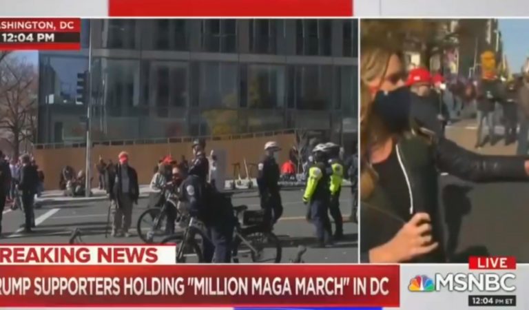 Reporter Reacts To “Hostile” Environment As Trump Supporters At “Million MAGA March” Shout “Fake News” At Her