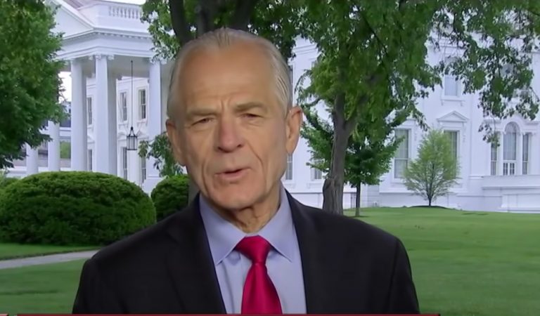 White House Adviser Peter Navarro Argued “This Election Was Stolen” — And  A Fox News Anchor Shot Back: “More Than 24 Judges Do Not See That”