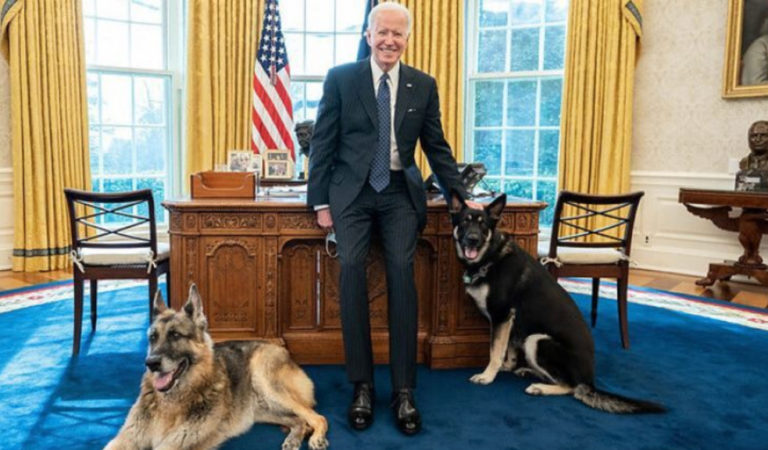 Conservative Are Being Downright Nasty After President Biden Welcomes New Puppy, Commander, To The Family On Twitter, And We Can’t Hide How Disgusted We Are By Their Behavior