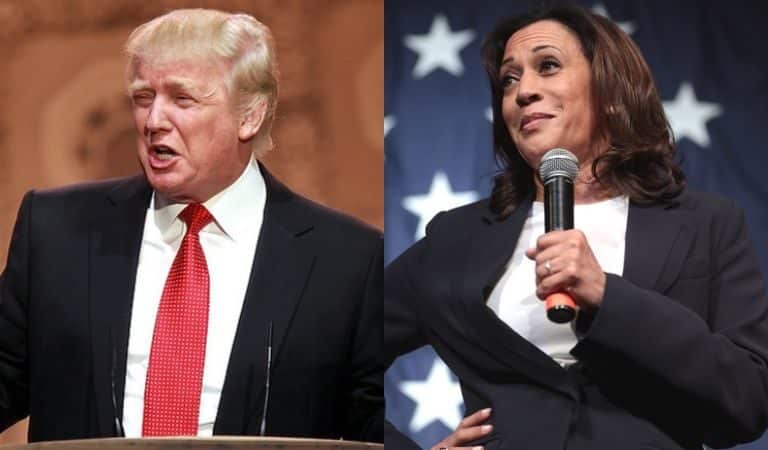 Harris Campaign Brilliantly Slams Trump On Labor Day By Posting His Past Comments On Workers