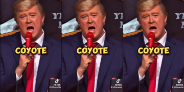 Shane Gillis as Donald Trump