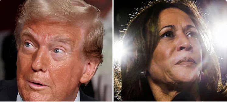 Kamala Harris Seemingly Snubs Trump With ‘Legendary’ Photo Crop