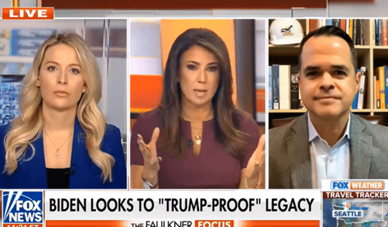 Fox News Anchor Erupts On Air, Clashes With Guest While Trying To Defend Trump And Musk In Fiery Debate