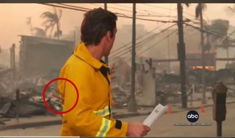 ABC News Anchor Was Called Out For Being Vain During Live Fire Broadcast, But Source Reveals Explanation