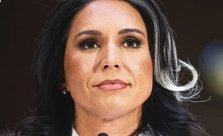 Social Media Mocks Tulsi Gabbard’s Confirmation Outfit: ‘Cruella Deville’