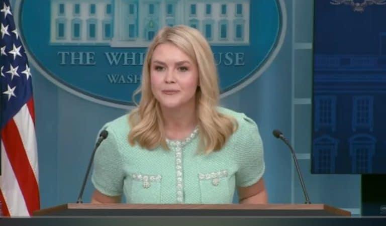 WH Press Secretary Karoline Leavitt Fact-Checked In Real Time, Schooled By An AP Reporter