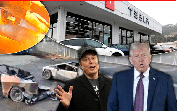 Trump Goes On Unhinged Social Media Rant, Vows To Buy A Tesla