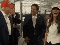 Trump and DeSantis in front of cages (X Screenshot)