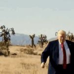 Trump on South Park (X screenshot)
