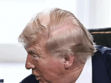 Trump's hair looked odd in a photo taken Sunday (X screenshot)