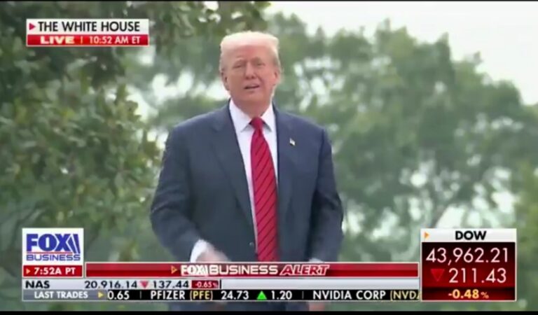 Trump Wanders Around Roof Of The White House Taking Questions From Reporters During Bizarre Presser
